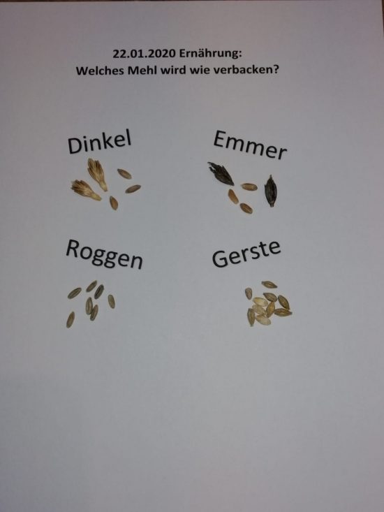 Ernährung: Welches Mehl wird wie verbacken?