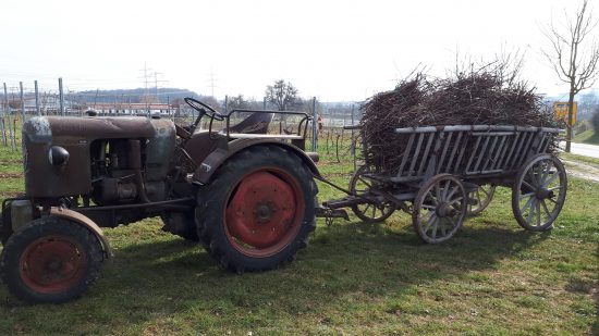 Büschele machen zum Anheizen des Backhauses