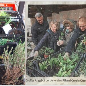 Pflanzentauschbörse am Dorfplatz