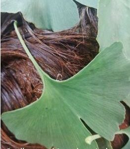 Pflanzenhaarfarbe / Haarausfall am Mittwoch, 11.01.2023 um 19 Uhr