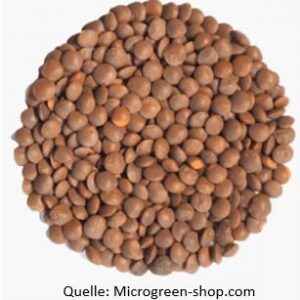 Linsen aus heimischem Anbau – am Mittwoch, 25.01.2023 um 19 Uhr