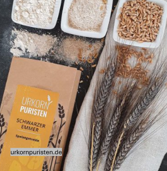 Urkorn – Altes neu erleben – Einkorn, Emmer, Dinkel am Mittwoch, 13. März 2024 um 19 Uhr