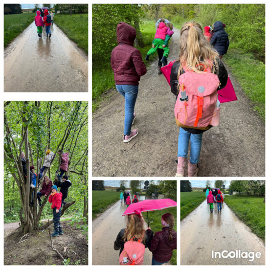 Mittwoch, 24.04.2024 – Juniorgruppe – walk, talk and eat