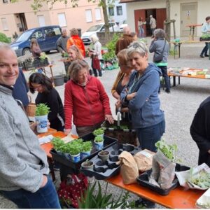 Pflanzenbörse am Dorfplatz