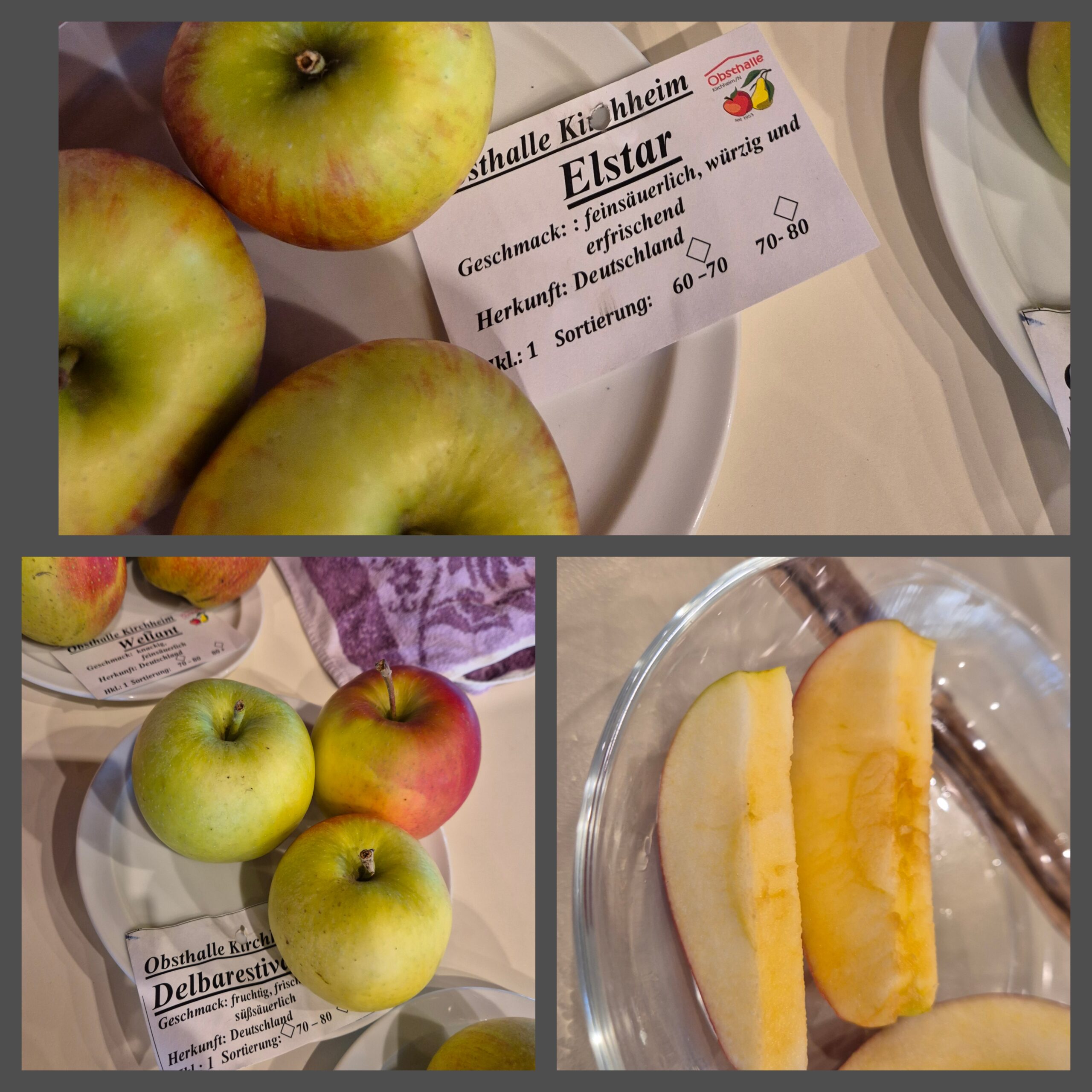 Mittwoch, 01. Oktober 2025 – Juniorgruppe – Rund um den Apfel