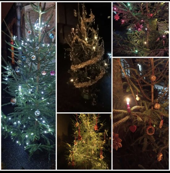 Samstag, 06.12.2025 – Juniorgruppe – Nikolaus am Backhaus